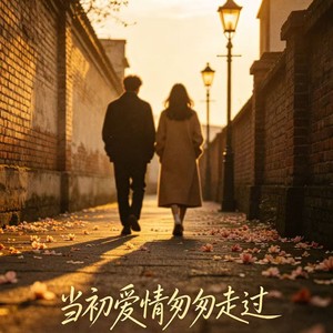当初的爱情匆匆走过 (上头)