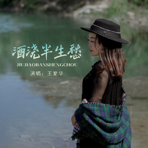 王爱华《酒浇半生愁》[MP3_LRC]_MP3免费下载