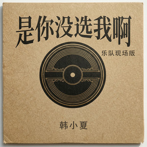 是你没选我啊 (乐队现场版)