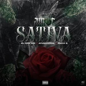 Amor Sativa (feat. EL IVAN 521 & RILLA G) [Explicit]