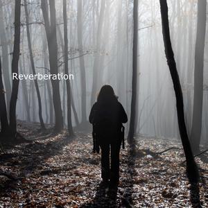 Reverberation