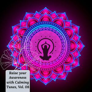 Raise Your Awareness With Calming Tunes, Vol. 08