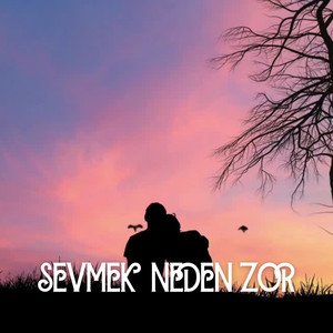 Sevmek Neden Zor