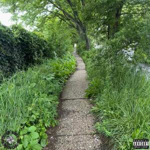 GrapeVine (Explicit)