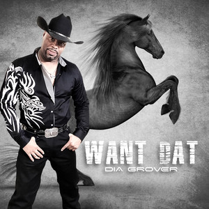 Did It Again (Remix|Explicit)