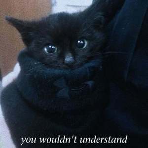 you wouldn't understand (Explicit)