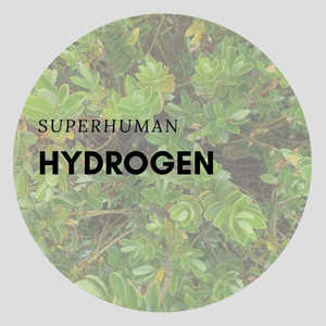 Hydrogen