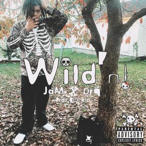 Wild'n! (feat. drq) [Explicit]