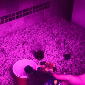 Whole Lotta (Explicit)