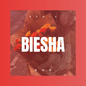 错的时间遇见对的人 (DJ版)