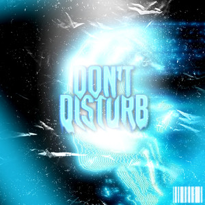 Don't Disturb (Explicit)