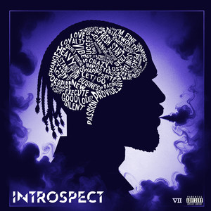 Introspect (Explicit)