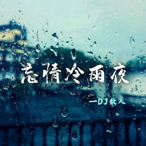 忘情冷雨夜（DJ散人版）