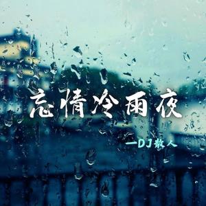 忘情冷雨夜 (DJ散人版)