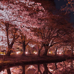 matsumae (feat. MightyMouse)