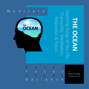 The Ocean Soothing Songs of Sea Life Tranquility, Meditation, Relaxation & Focus. Meditate Relax Focus Study Ballance