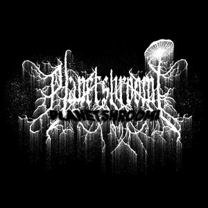 SWiMMiN' iN WATERFALLS