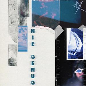 Nie Genug (Explicit)