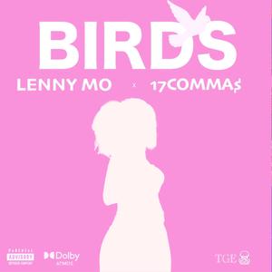 Lenny Mo x 17 Commas (Birds) [Explicit]