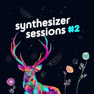 Synthesizer Sessions #2