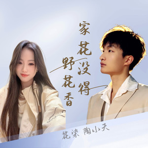 家花没得野花香