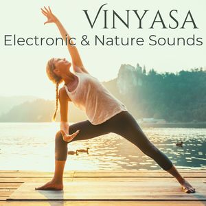 Vinyasa: Electronic & Nature Sounds Best Vinyasa Yoga Workout Music