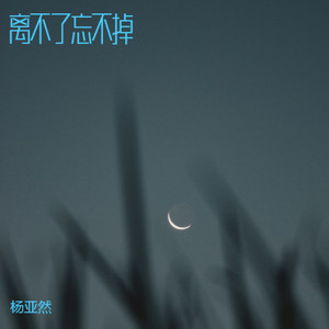 离不了忘不掉 (女版)