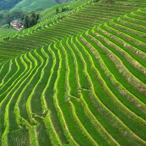 春风十万里