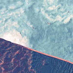 [免费]冰柠檬茶