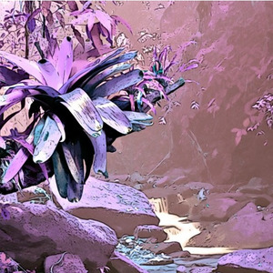 Views From The Basement