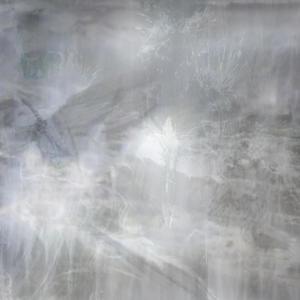 Blutregen (Explicit)