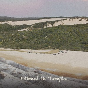 Einmal in Tampico