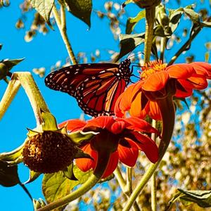 The Half-Life Realm EP. 1 (Bonus Track)