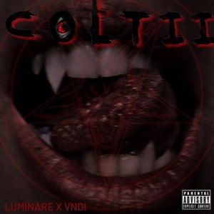 Coltii (feat. Vndi) [Explicit]