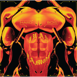 Hard Bois