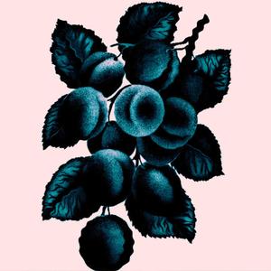 King Lear (Explicit)