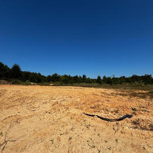 U hear me? (Explicit)