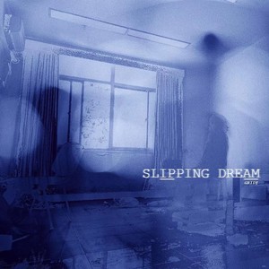 Slipping Dream