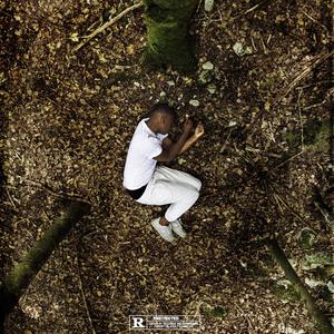 Pirate(feat. Dicha) (Explicit)