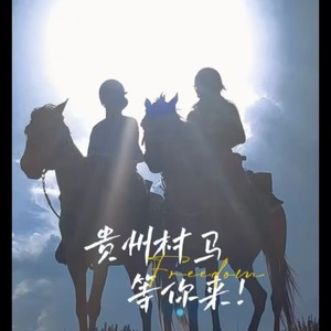 贵州村马等你来