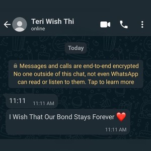 Teri Wish Thi