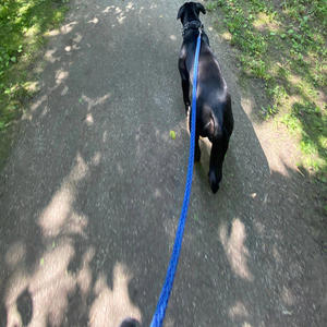 im_bak_! (feat. thatguyfiji) (Explicit)