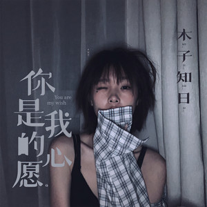 你是我的心愿