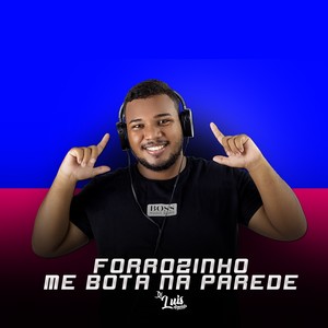 FORROZINHO ME BOTA NA PAREDE