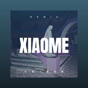 安徒生不后悔 (Remix)封面