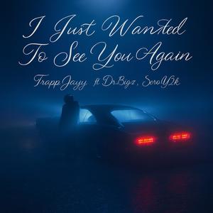I Just Wanted To See You Again (feat. SeroY2k & Dr.bigz) (Remix)