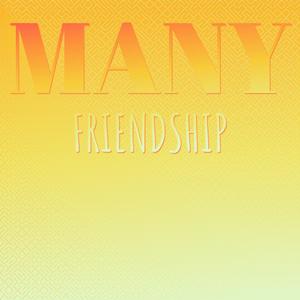 Many Friendship