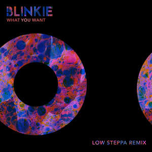 What You Want (Extended|Low Steppa Remix)