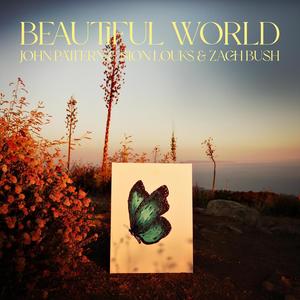 Beautiful World (Reimagined) (feat. Zach Bush)