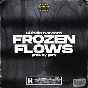 FROZEN FLOWS (Explicit)